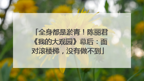 全身都是淤青！陈丽君《我的大观园》幕后：面对滚楼梯，没有做不到