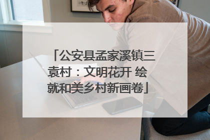 公安县孟家溪镇三袁村：文明花开 绘就和美乡村新画卷