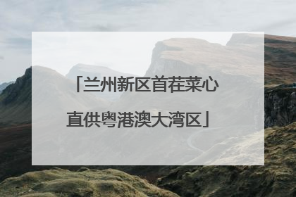 兰州新区首茬菜心直供粤港澳大湾区
