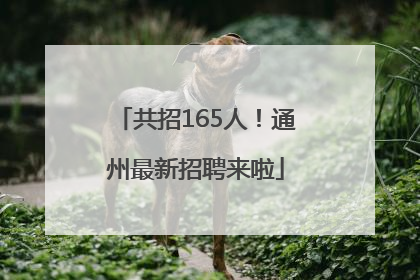 共招165人！通州最新招聘来啦