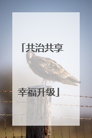 共治共享 幸福升级