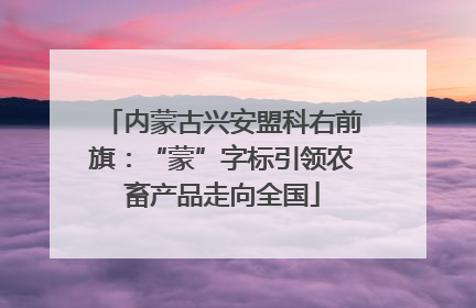 内蒙古兴安盟科右前旗：“蒙”字标引领农畜产品走向全国