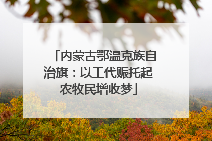内蒙古鄂温克族自治旗：以工代赈托起农牧民增收梦