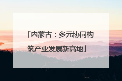 内蒙古：多元协同构筑产业发展新高地