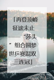 再登顶峰 征途未止——“莎头”组合圆梦世乒赛混双三连冠