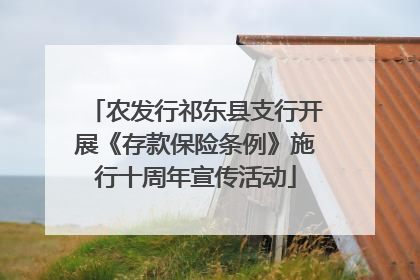 农发行祁东县支行开展《存款保险条例》施行十周年宣传活动