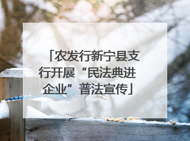 农发行新宁县支行开展“民法典进企业”普法宣传