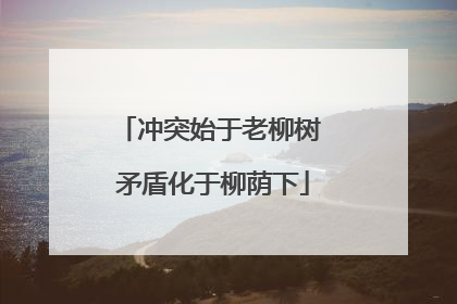 冲突始于老柳树 矛盾化于柳荫下