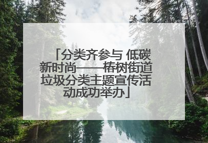 分类齐参与 低碳新时尚——椿树街道垃圾分类主题宣传活动成功举办