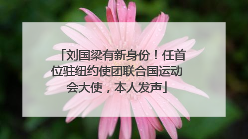 刘国梁有新身份！任首位驻纽约使团联合国运动会大使，本人发声