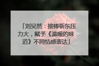 刘昊然：接棒靳东压力大，赋予《温暖的味道》不同情感表达