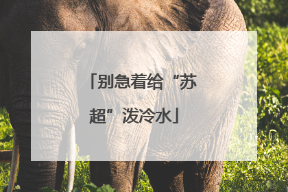 别急着给“苏超”泼冷水