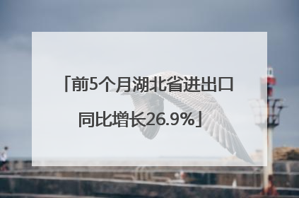 前5个月湖北省进出口同比增长26.9%