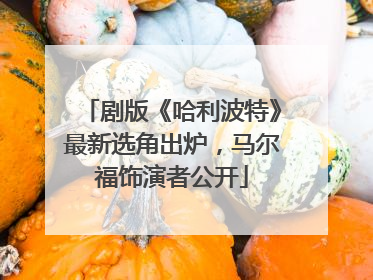 剧版《哈利波特》最新选角出炉，马尔福饰演者公开