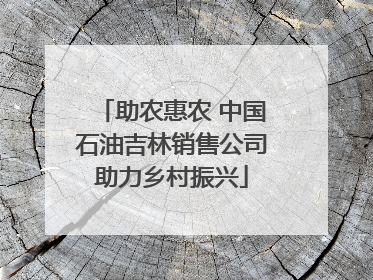 助农惠农 中国石油吉林销售公司助力乡村振兴
