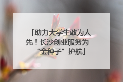 助力大学生敢为人先！长沙创业服务为“金种子”护航