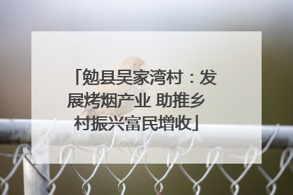 勉县吴家湾村：发展烤烟产业 助推乡村振兴富民增收