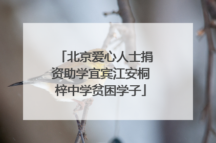 北京爱心人士捐资助学宜宾江安桐梓中学贫困学子