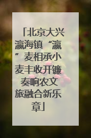 北京大兴瀛海镇“瀛”麦相承小麦丰收开镰 奏响农文旅融合新乐章