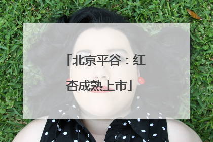 北京平谷：红杏成熟上市
