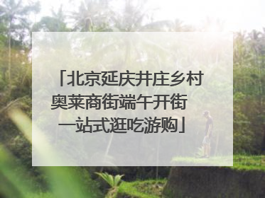 北京延庆井庄乡村奥莱商街端午开街 一站式逛吃游购