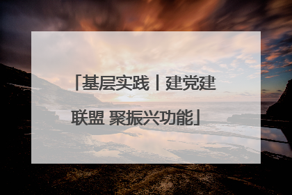 基层实践丨建党建联盟 聚振兴功能
