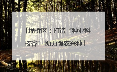 埇桥区：打造“种业科技谷” 助力强农兴种