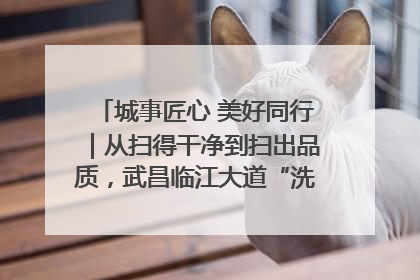 城事匠心 美好同行｜从扫得干净到扫出品质，武昌临江大道“洗”出洁净样板路