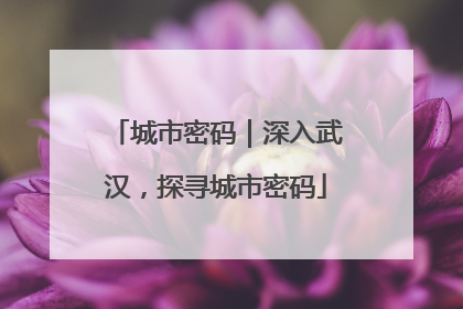 城市密码｜深入武汉，探寻城市密码