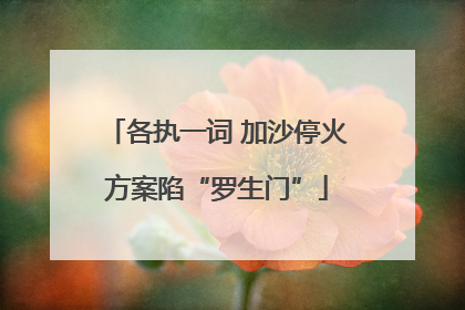 各执一词 加沙停火方案陷“罗生门”