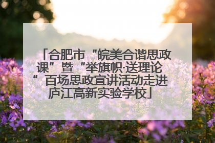 合肥市“皖美合谐思政课”暨“举旗帜·送理论”百场思政宣讲活动走进庐江高新实验学校