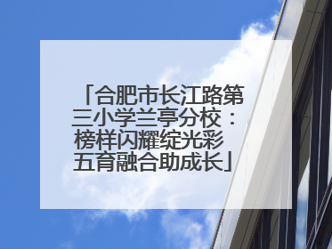 合肥市长江路第三小学兰亭分校：榜样闪耀绽光彩 五育融合助成长