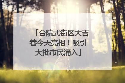 合院式街区大吉巷今天亮相！吸引大批市民涌入