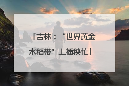 吉林：“世界黄金水稻带”上插秧忙