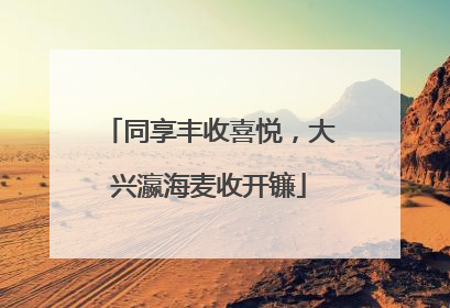 同享丰收喜悦，大兴瀛海麦收开镰