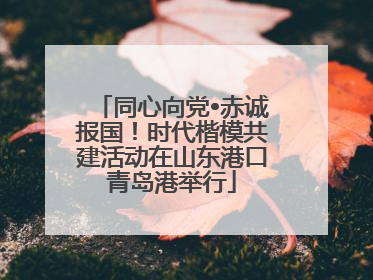 同心向党•赤诚报国！时代楷模共建活动在山东港口青岛港举行