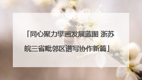 同心聚力擘画发展蓝图 浙苏皖三省毗邻区谱写协作新篇
