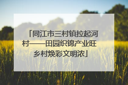 同江市三村镇拉起河村——田园织锦产业旺 乡村焕彩文明浓