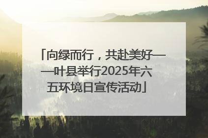 向绿而行，共赴美好——叶县举行2025年六五环境日宣传活动