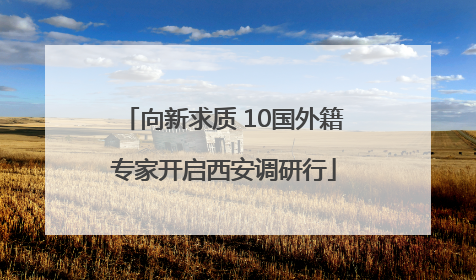 向新求质 10国外籍专家开启西安调研行