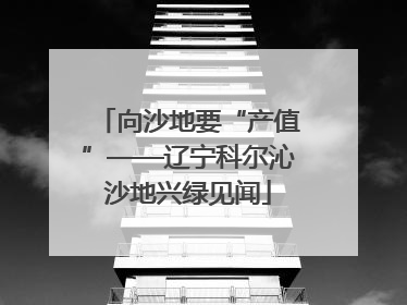 向沙地要“产值”——辽宁科尔沁沙地兴绿见闻