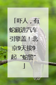 吓人，有蛇藏进汽车引擎盖！北京9天接9起“蛇警”