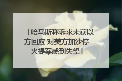 哈马斯称诉求未获以方回应 对美方加沙停火提案感到失望