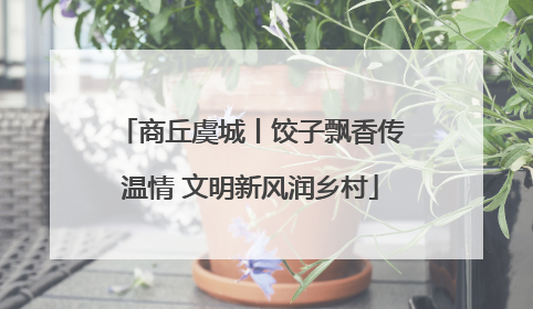 商丘虞城丨饺子飘香传温情 文明新风润乡村