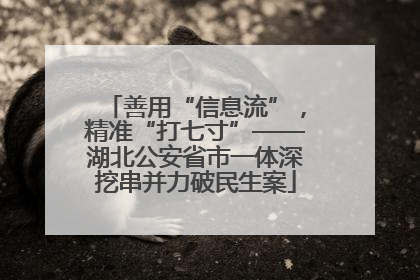 善用“信息流”，精准“打七寸”——湖北公安省市一体深挖串并力破民生案