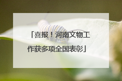 喜报！河南文物工作获多项全国表彰