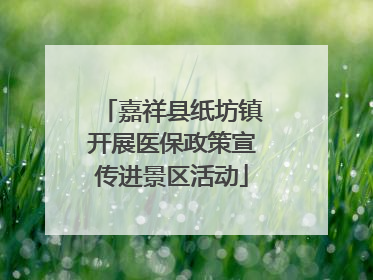 嘉祥县纸坊镇开展医保政策宣传进景区活动