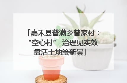 嘉禾县普满乡曾家村：“空心村” 治理见实效 盘活土地绘新景