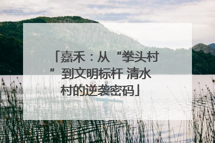 嘉禾：从“拳头村”到文明标杆 清水村的逆袭密码