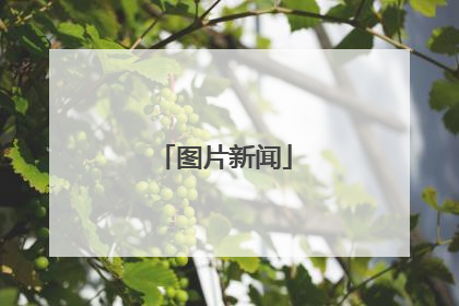 图片新闻